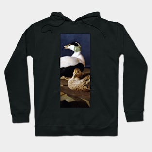 Somateria mollissima by Ferdinand von Wright Hoodie